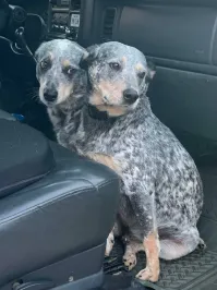 20 реальных доказательств того, как ловко наш мозг нас обманывает