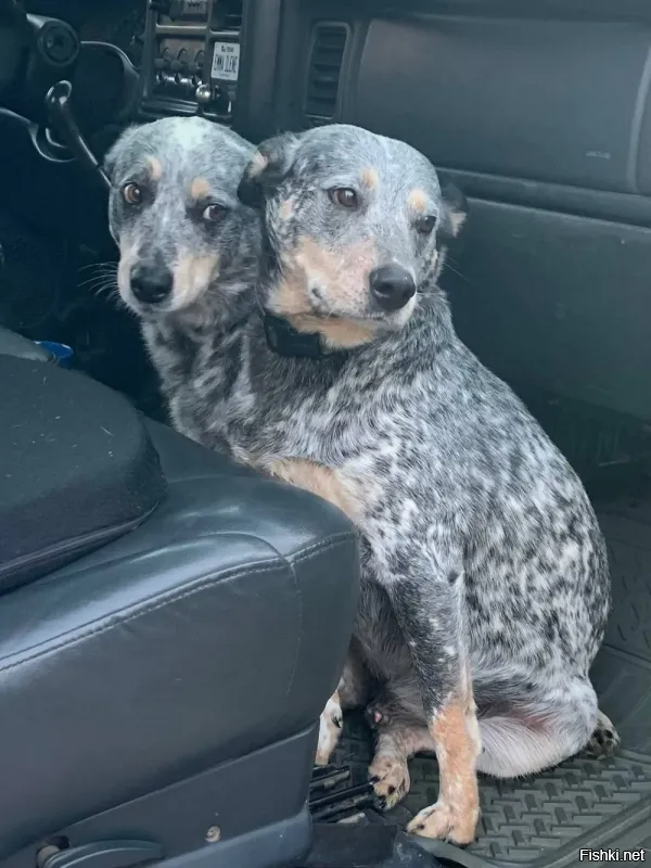 20 реальных доказательств того, как ловко наш мозг нас обманывает