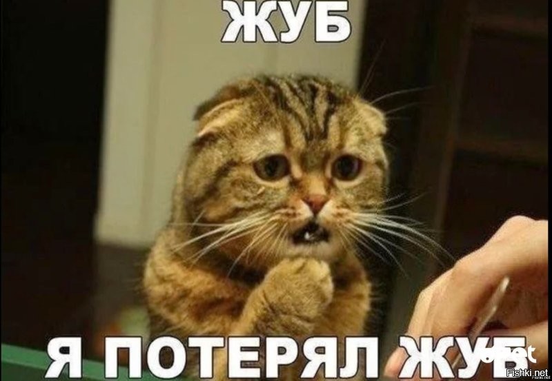 Покраска в ванной закончилась потерей зуба