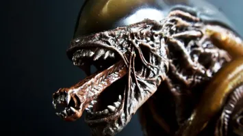 Почему рыбий рот такой инопланетный?