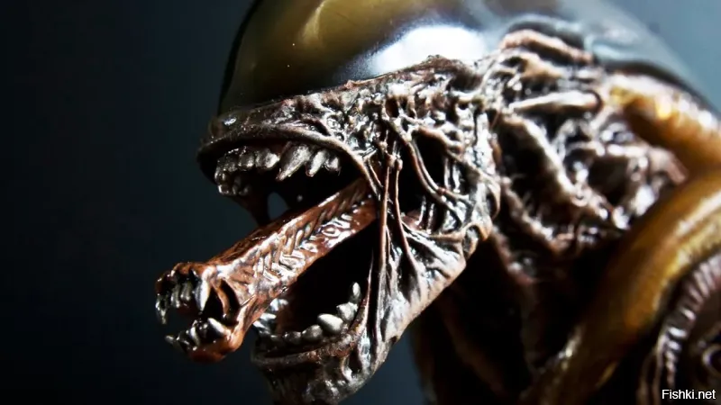 Почему рыбий рот такой инопланетный?