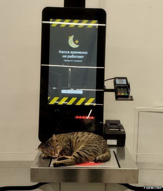 Солянка от 11.01.2026