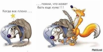 Наглая рыжая морда
