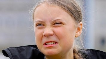 У мартышек быстро найдутся адвокаты.