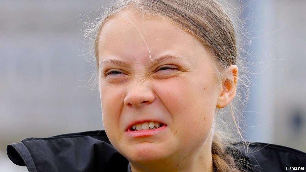 У мартышек быстро найдутся адвокаты.