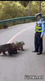 Политическая солянка. Часть 361