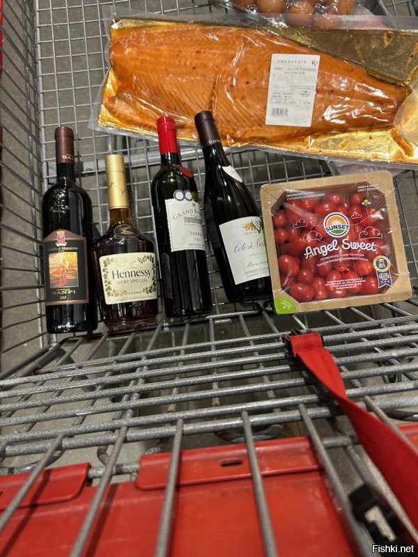 Солянка от 11.01.2026