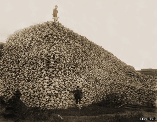 Политическая солянка. Часть 361