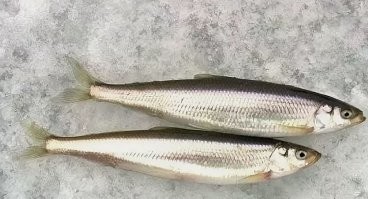 ЭЭэх У меня только ...75 малороток с Малого Буссе!
Мелочь,  а поджаришь - класс!