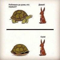 Черепаха уничтожила надувной замок за считанные секунды