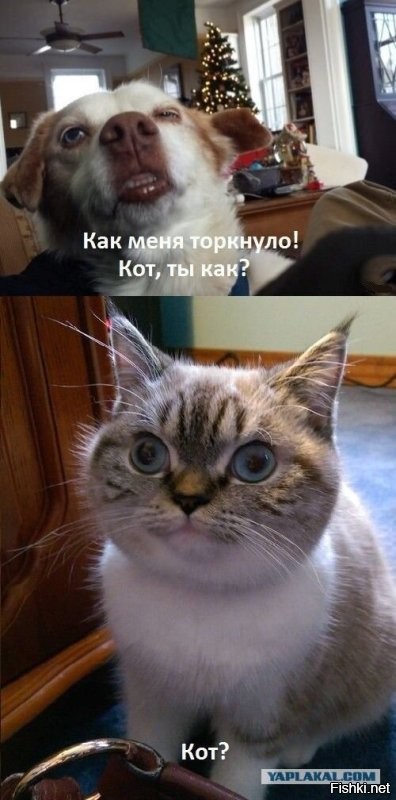 Доброго утра