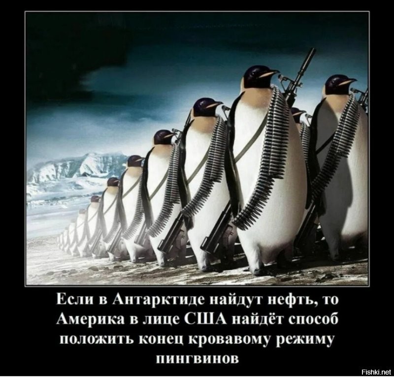 Начались погромы в Иране