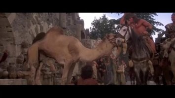 Мануальный зоотерапевт моего детства