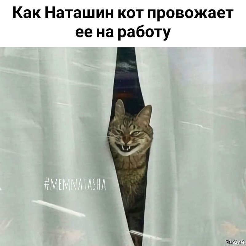 Доброго утра