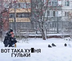 Женщину в Лондоне арестовали и выписали штраф за кормление голубей