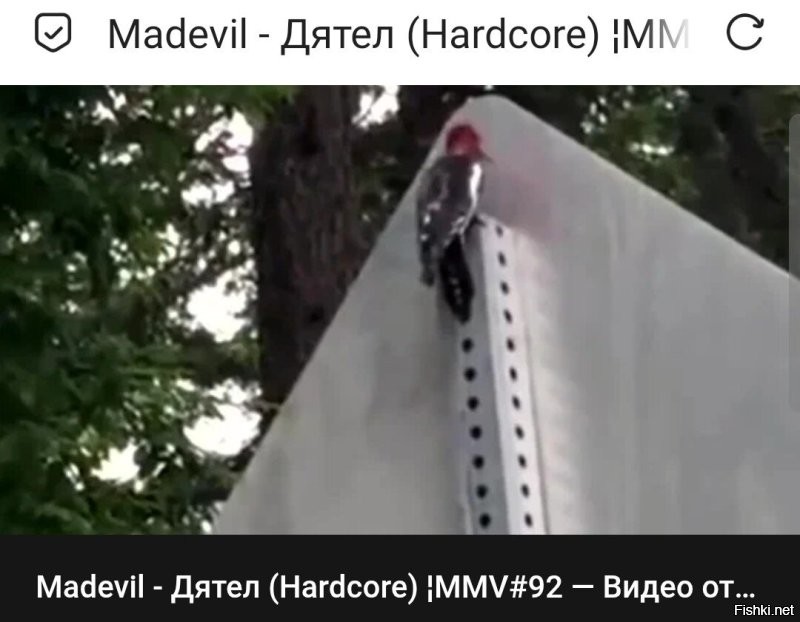 Музыкальная пауза