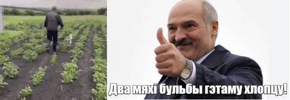 Просто гифки, всякие и&nbsp;разные