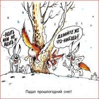 Упитанный пушистый воришка