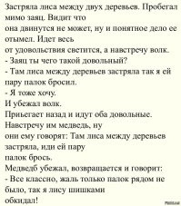 Упитанный пушистый воришка