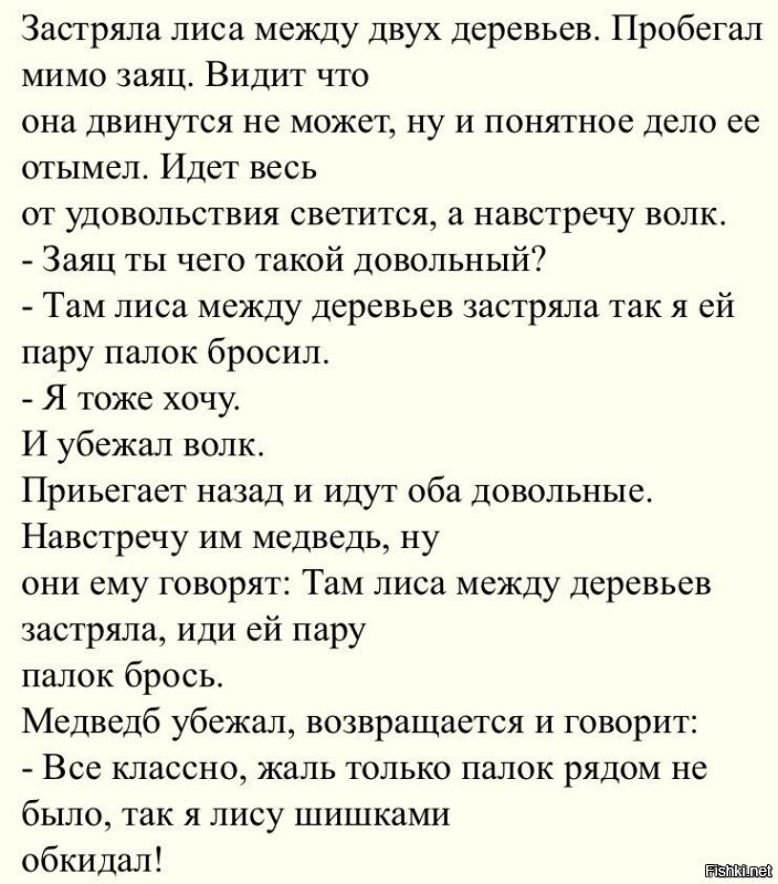 Упитанный пушистый воришка