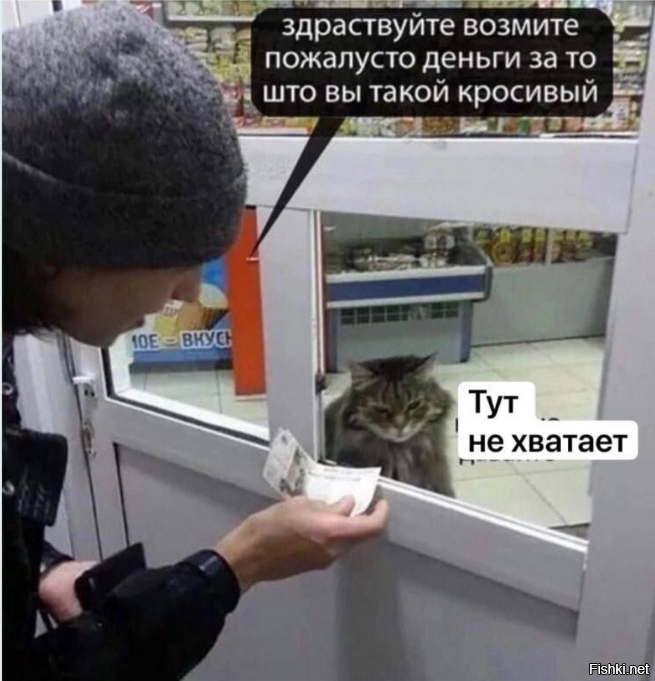 Кота из России признали самым красивым в мире