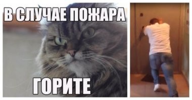 Шапкой нужно было тушить)))