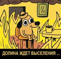Судебные приставы возбудили исполнительное производство о принудительном выселении Ларисы Долиной из проданной квартиры