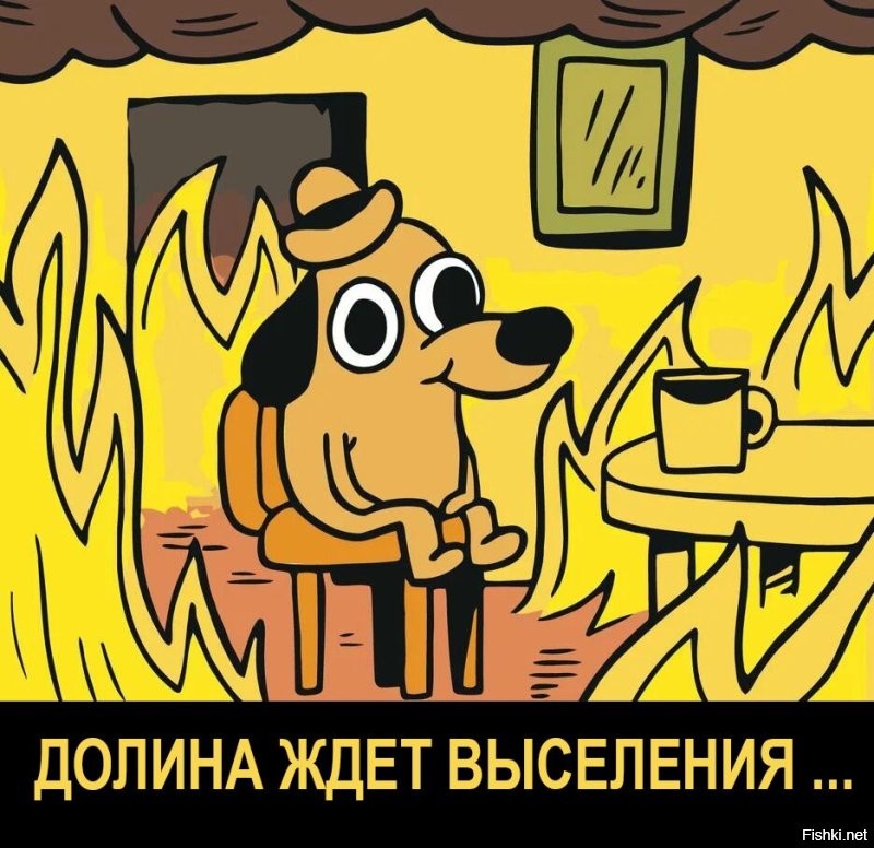 Судебные приставы возбудили исполнительное производство о принудительном выселении Ларисы Долиной из проданной квартиры