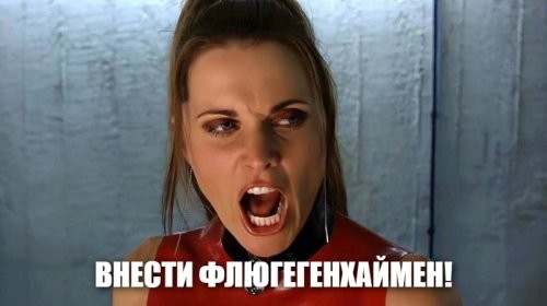 Упитанный пушистый воришка
