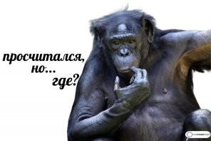 Парень похитил куртку из пункта выдачи заказов