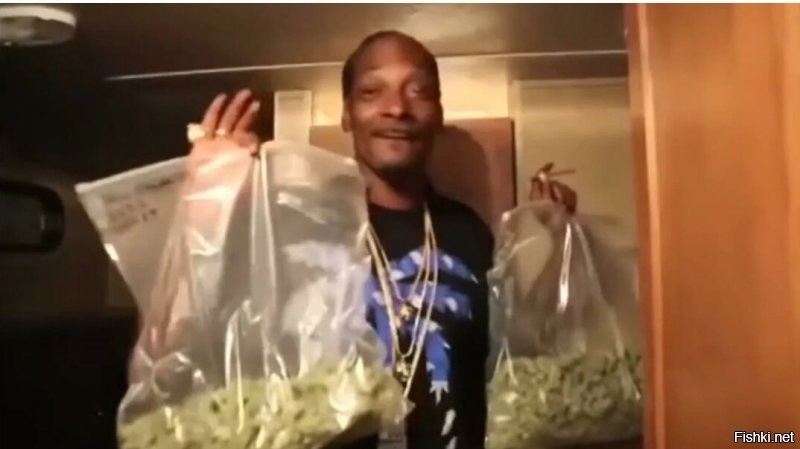 Мистер стабильность