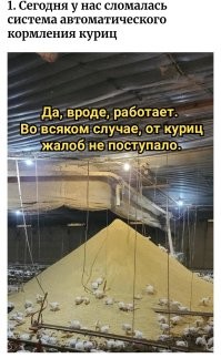 17 провальных фотографий от людей, которые в этот день вытащили у судьбы неудачный билет