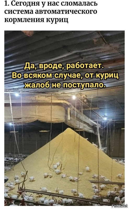 17 провальных фотографий от людей, которые в этот день вытащили у судьбы неудачный билет
