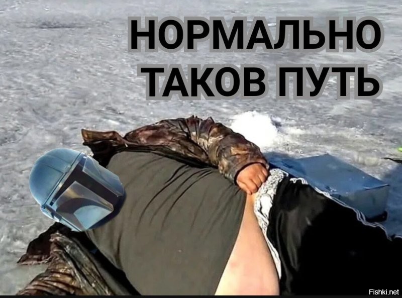 Тарантиновский диалог случился между владельцем катера и нерпой в Мурманской области