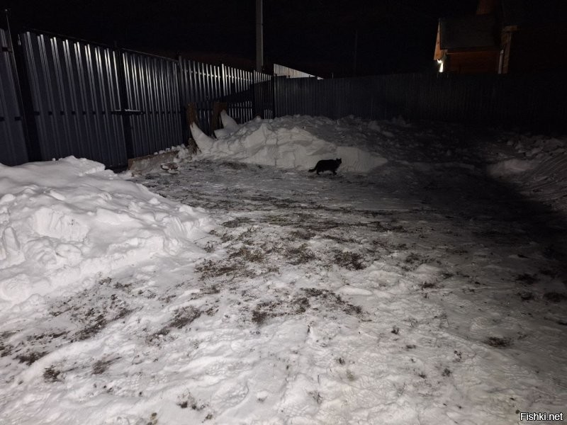 Тут прорабша пришла )) Лиза звать. Пока довольна.. вроде.