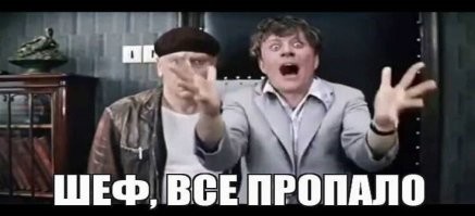 В России вырастят генетически идеальную для трансплантации органов свинью