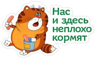 Так прикол в том, что ЗП у иммигрантов из России в США в 2025 году в среднем $27000. Индивидуальная страховка в месяц стоит $300-$600 в месяц.
Цифры по данным поисковых систем.
Теперь считаем:
Страховка в месяц, в среднем 450, в год 5 400. Операция обошлась в 10 000. Итого из 27 осталось меньше половины (11 600).
А еще покушать, жильё, мобильная связь, транспорт, одежда...
Блин, 12к баксов на год, это косярь в месяц!
Хорошо что не одна, муж поможет.