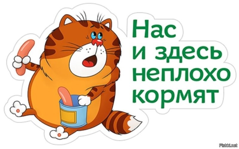 Так прикол в том, что ЗП у иммигрантов из России в США в 2025 году в среднем $27000. Индивидуальная страховка в месяц стоит $300-$600 в месяц.
Цифры по данным поисковых систем.
Теперь считаем:
Страховка в месяц, в среднем 450, в год 5 400. Операция обошлась в 10 000. Итого из 27 осталось меньше половины (11 600).
А еще покушать, жильё, мобильная связь, транспорт, одежда...
Блин, 12к баксов на год, это косярь в месяц!
Хорошо что не одна, муж поможет.