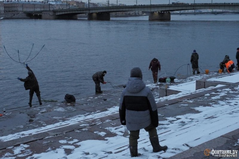 Как в Питере когда корюшка идёт