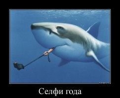 В Бразилии дайверша получила «поцелуй» от акулы