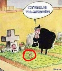Навозная пушка: существо стреляющее быстрее автомата Калашникова