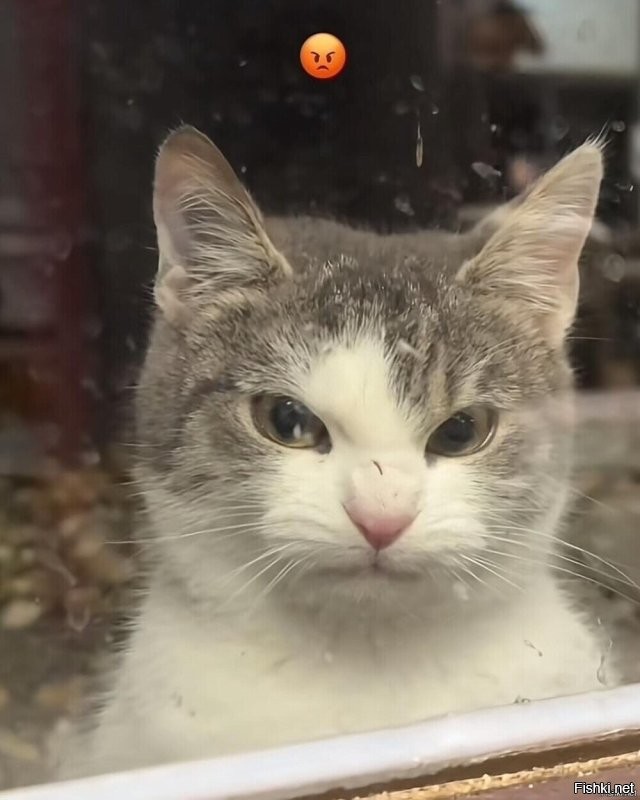 Доброе утро