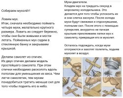 Мужчина создал вафледрон