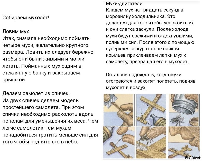 Мужчина создал вафледрон