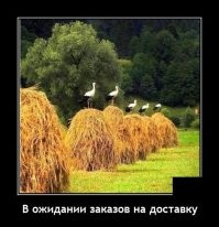 Большая тарелка улыбатора
