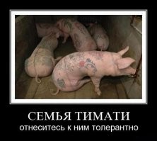 Большая тарелка улыбатора