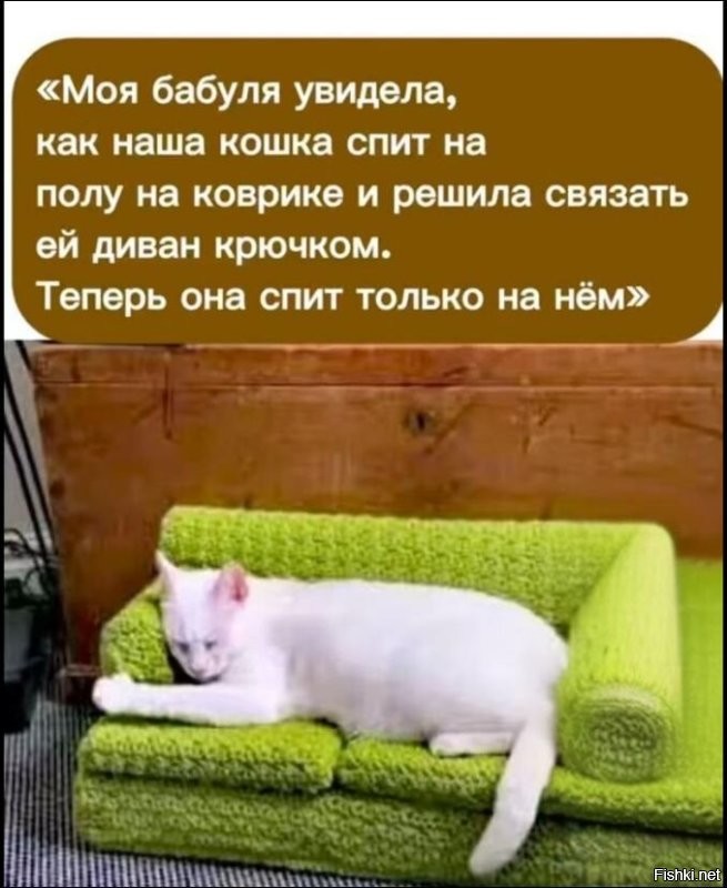 Солянка от 16.01.2026