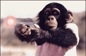 Пьяный мужчина устроил стрельбу на овощебазе в Санкт-Петербурге