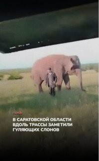 Все возможно в этом мире.