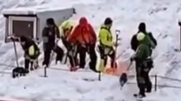 Собственно, на всех. 
Видно не очень, конечно, но видно. 

А зуммер, я в руках держал, ещё в 80-е годы прошлого века. 
Когда в электроконструктор "игрался".